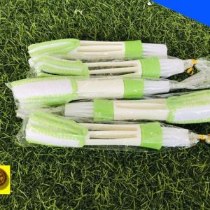 choi ve sinh cua gio dieu hoa o to tpro 2